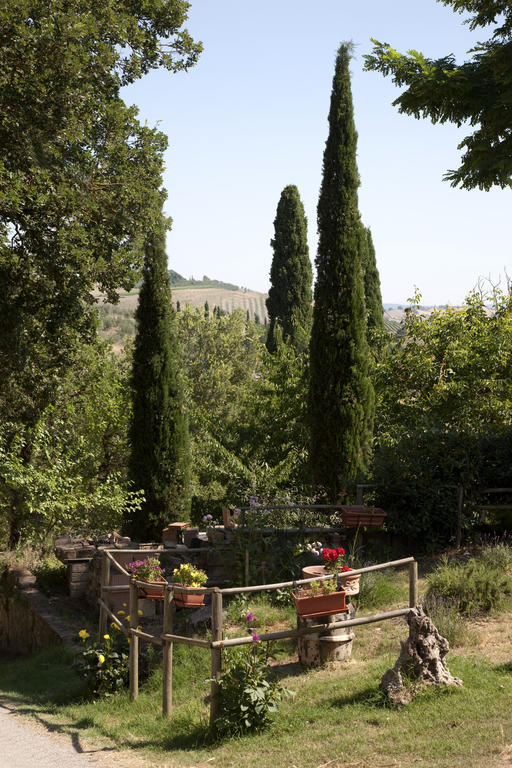 Agriturismo Podere Olivello In Val D'Orcia มอนตาลชิโน ภายนอก รูปภาพ
