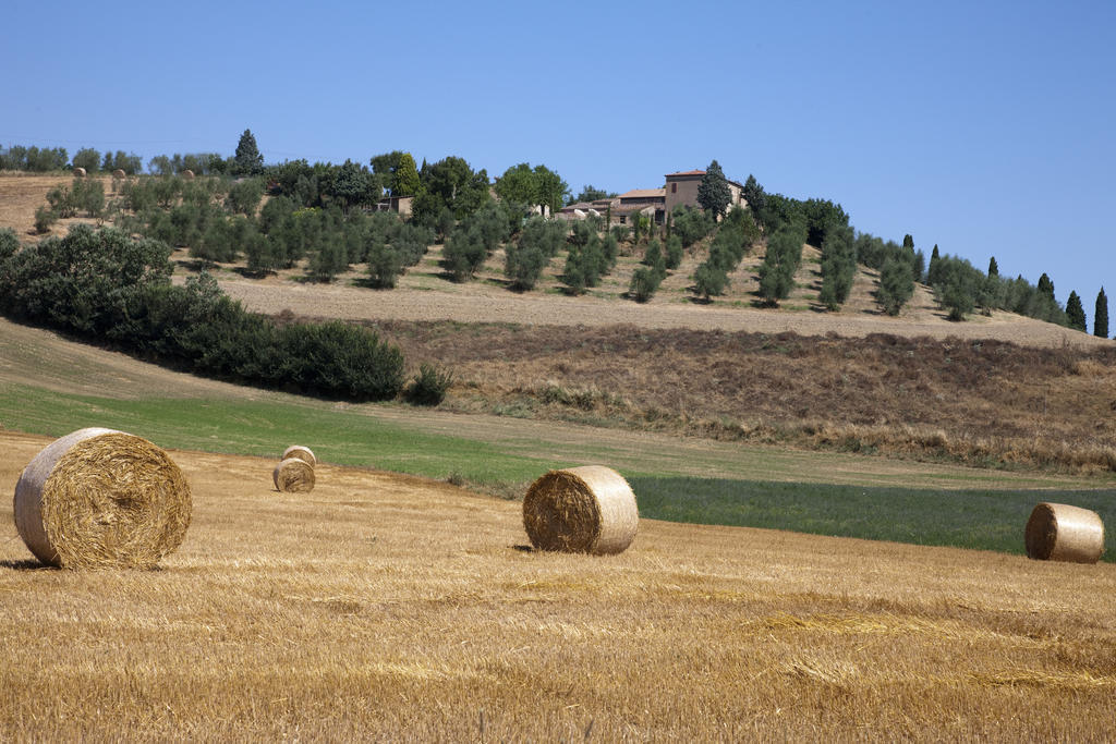 Agriturismo Podere Olivello In Val D'Orcia มอนตาลชิโน ภายนอก รูปภาพ